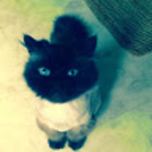 Meet your Posher, Gemma